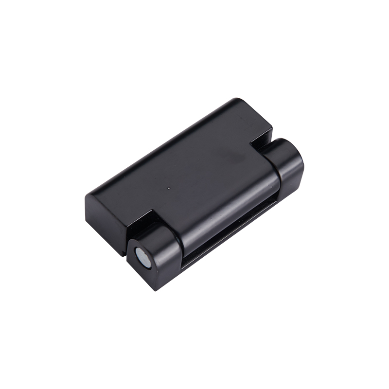 CL219-1S 164g 25lot Bản lề bằng thép không gỉ được đánh bóng có chốt